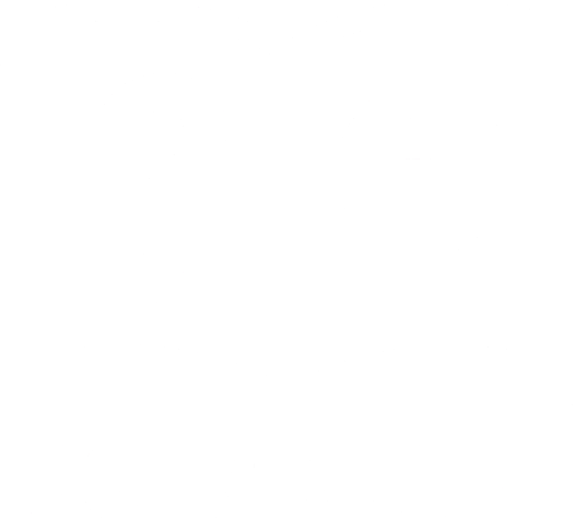 User Guide